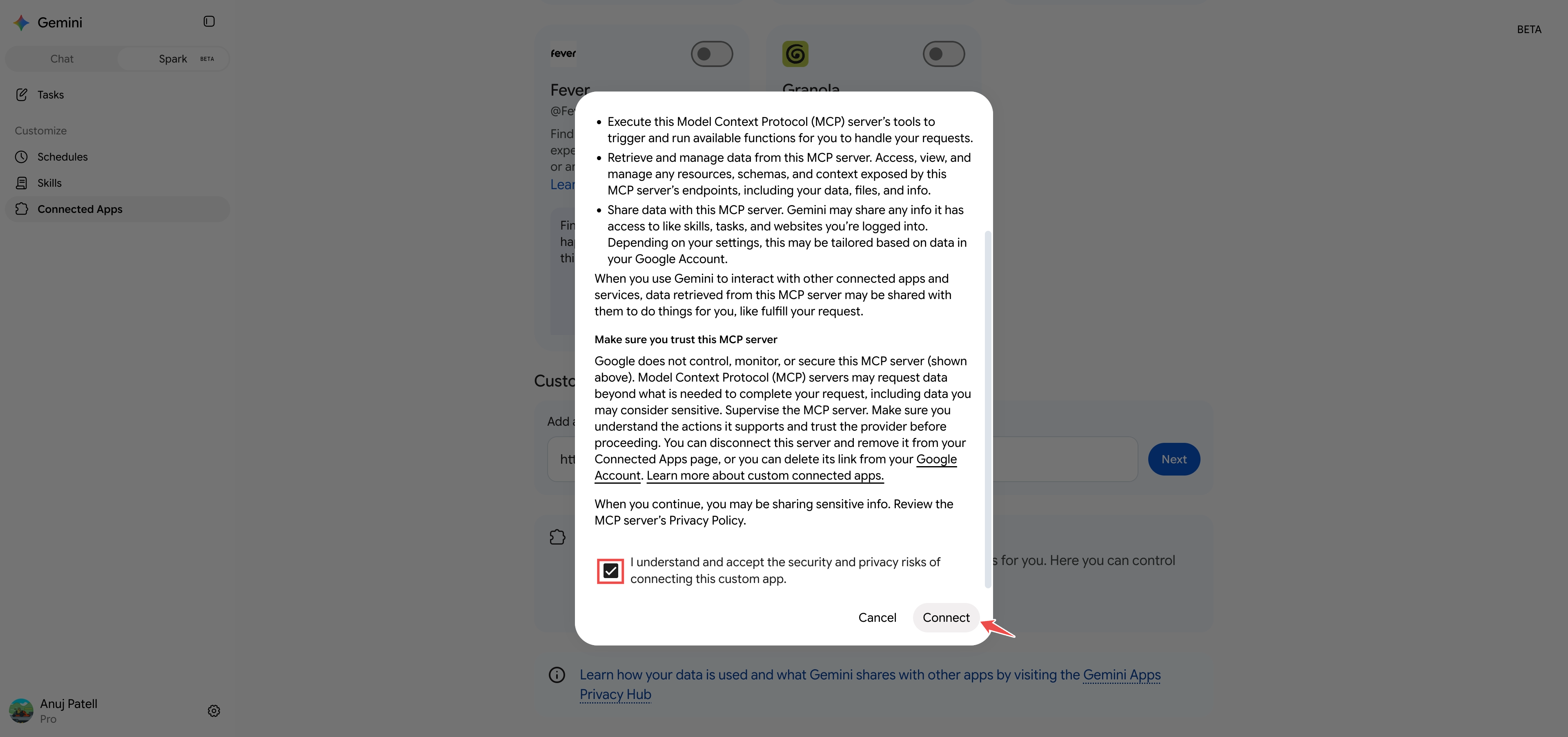 The dialog scrolled to the risk checkbox and the Connect button