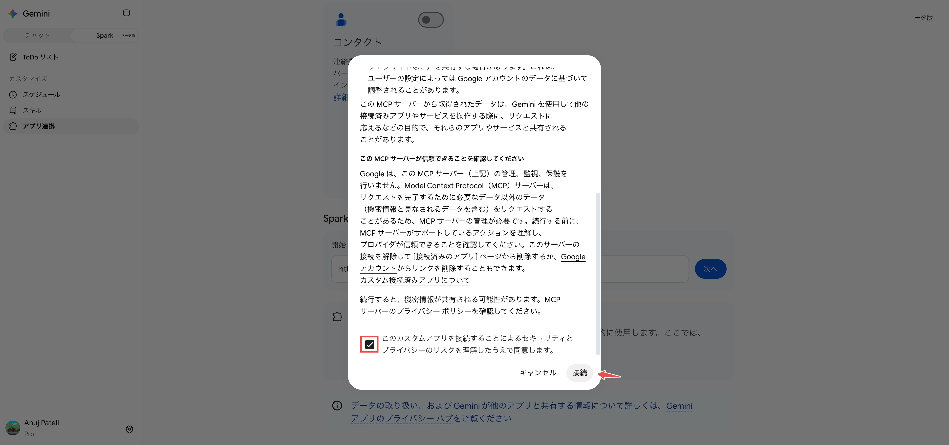 ダイアログをスクロールし、リスク同意のチェックボックスと「接続」ボタンを表示した状態